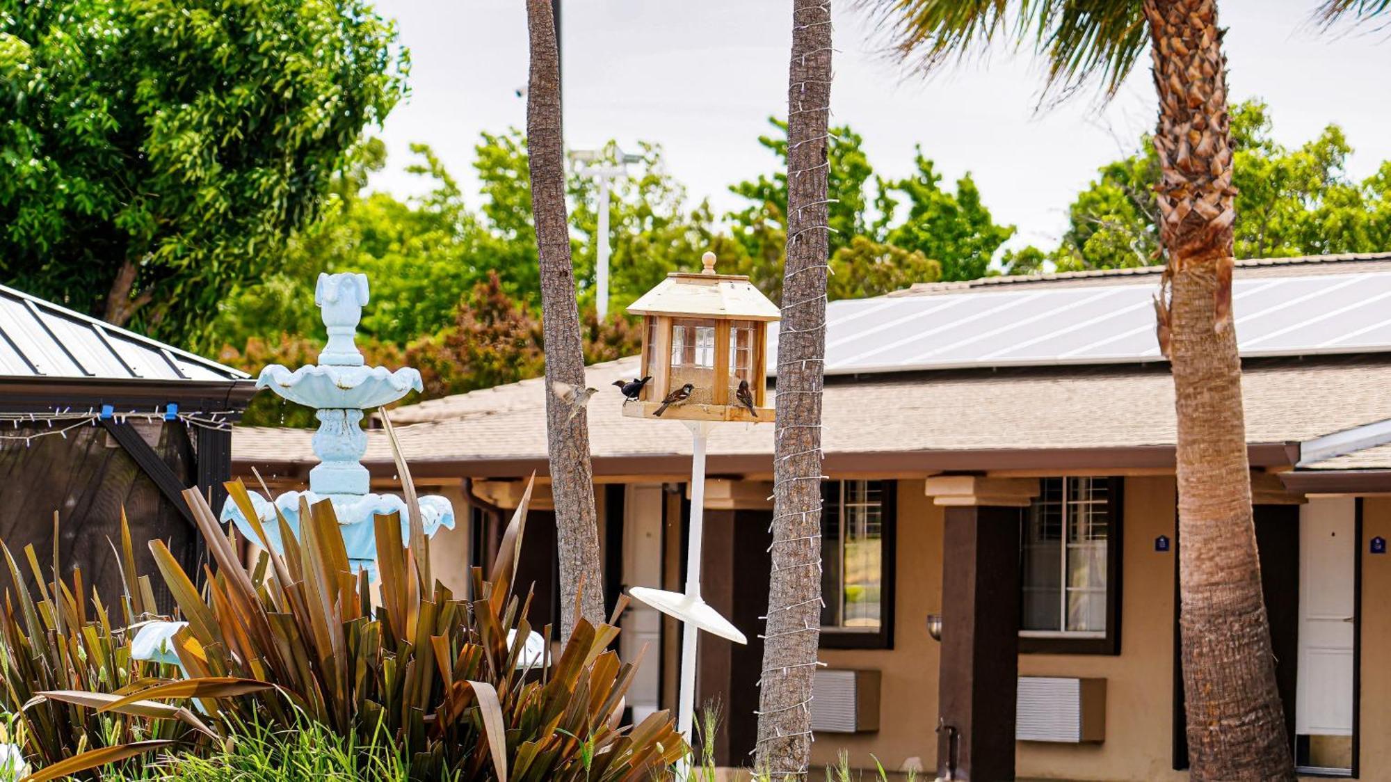 Americas Best Value Inn, Antioch Exterior foto